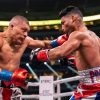 Isaac Cruz lands a left hook on Yuriorkis Gamboa